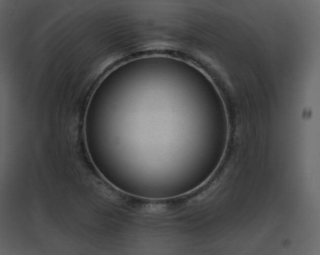 X0000096631313200802121038