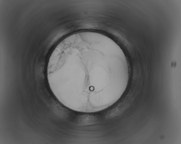 X0000096631314200802121038