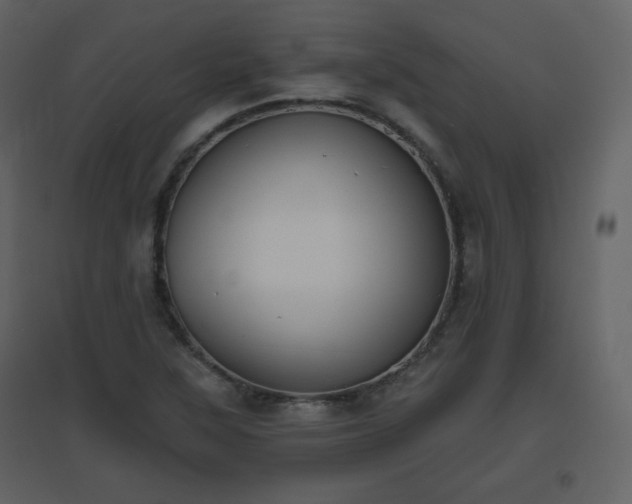 X0000096631315200802121038