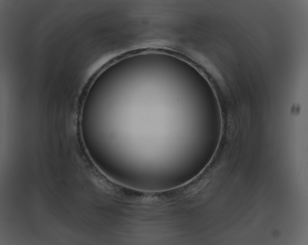 X0000096631316200802121038
