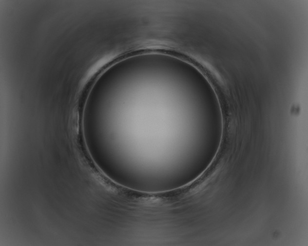 X0000096631317200802121038