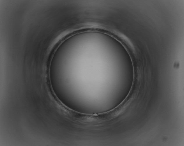 X0000096631318200802121038