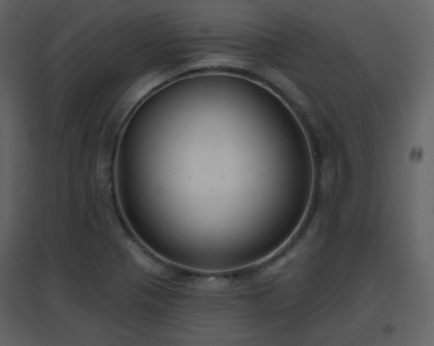 X0000096631321200802121038