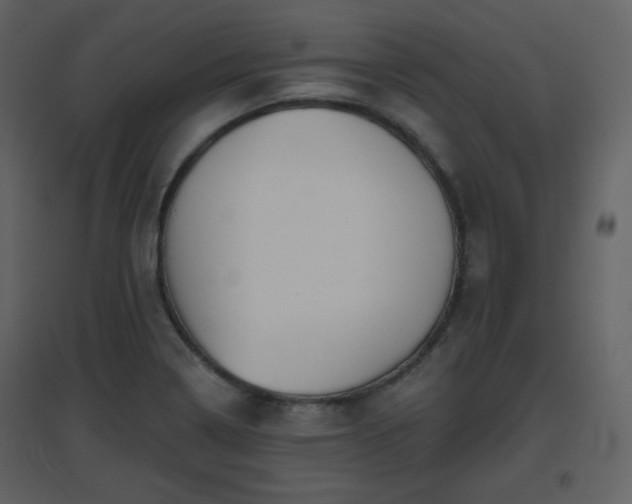 X0000096631322200802121038