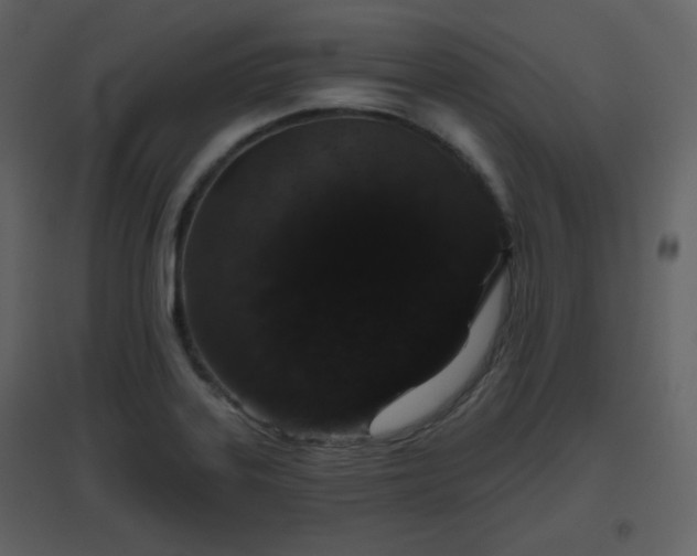 X0000096631323200802121038