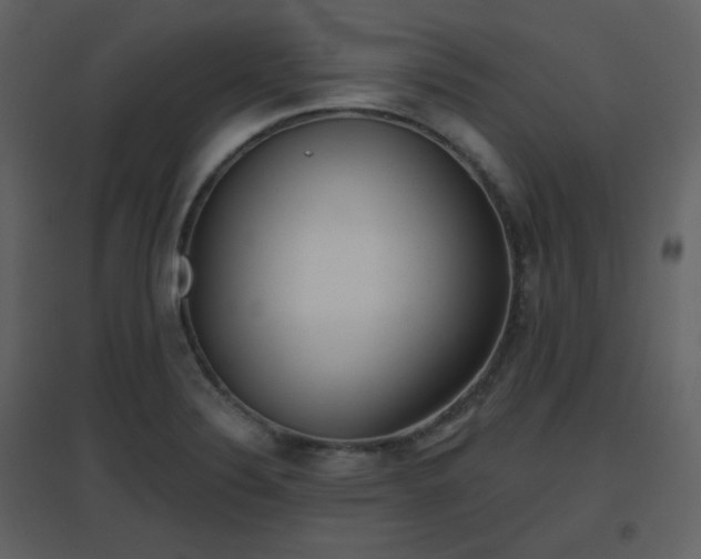 X0000096631324200802121038