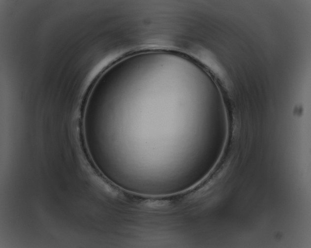 X0000096631325200802121038