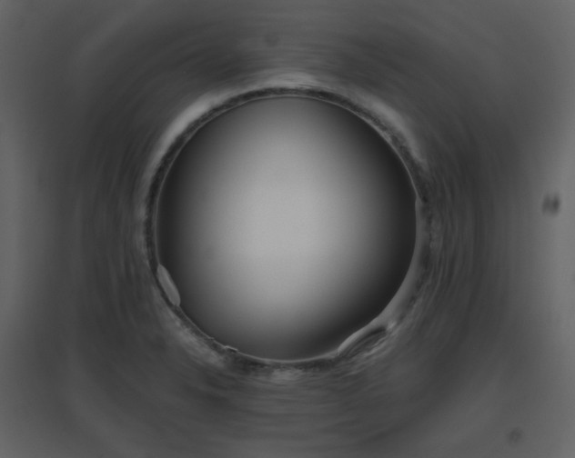 X0000096631326200802121038