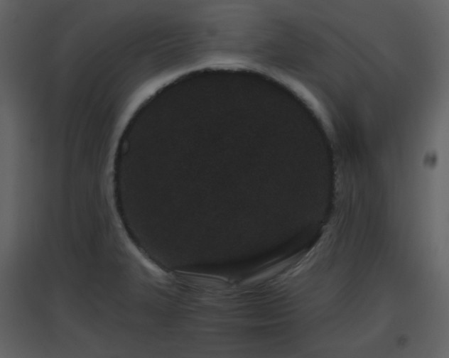 X0000096631327200802121038