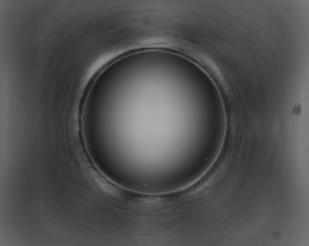 X0000096631328200802121038