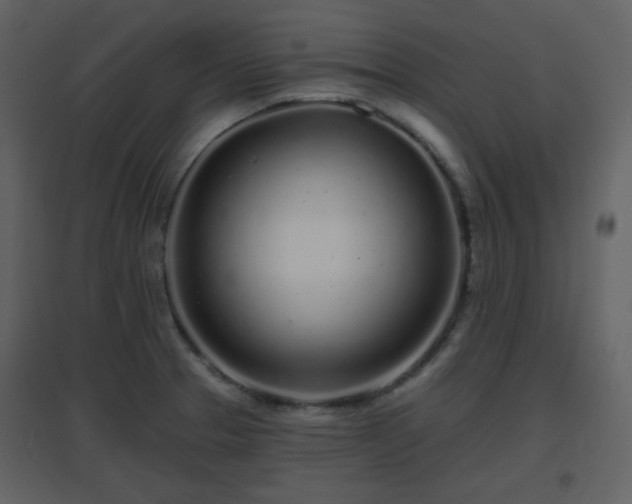 X0000096631329200802121038