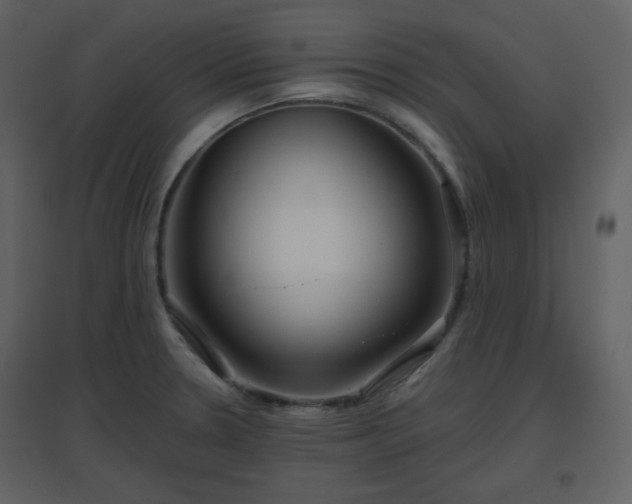 X0000096631330200802121038