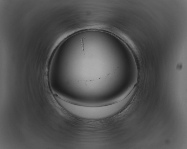 X0000096631332200802121038