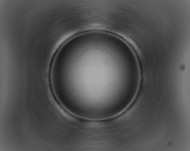 X0000096631333200802121038