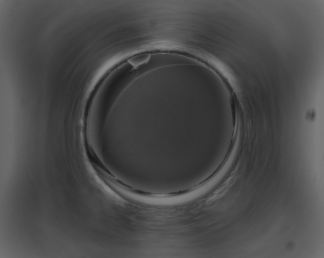 X0000096631334200802121038