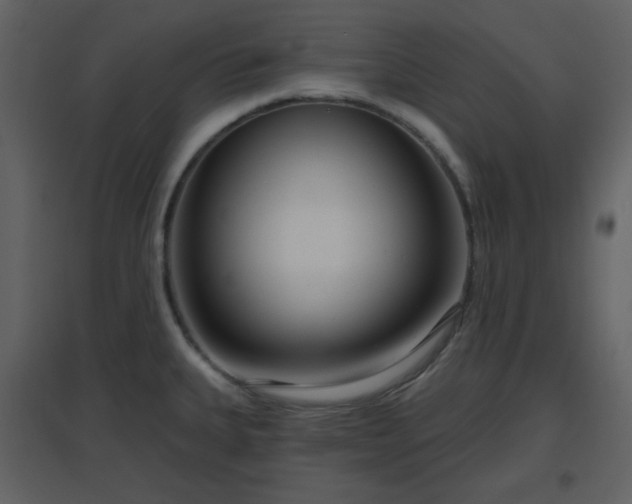 X0000096631335200802121038