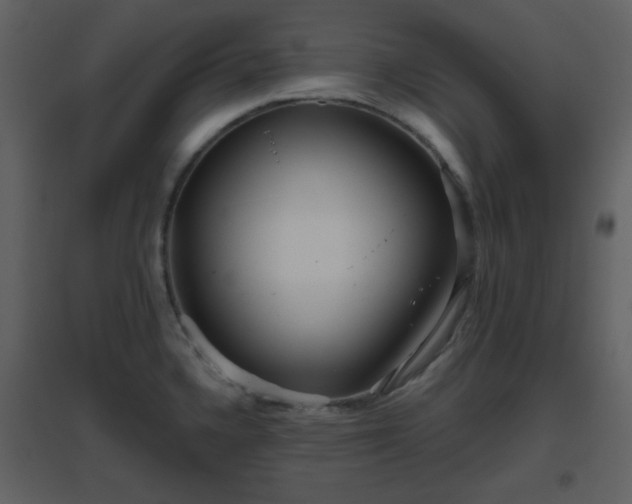 X0000096631336200802121038