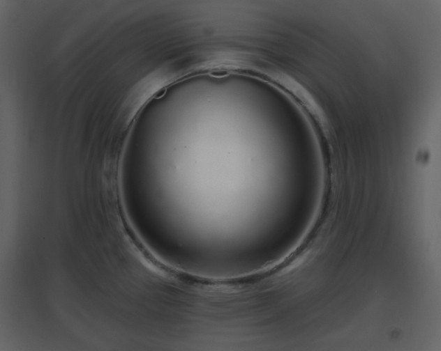 X0000096631337200802121038
