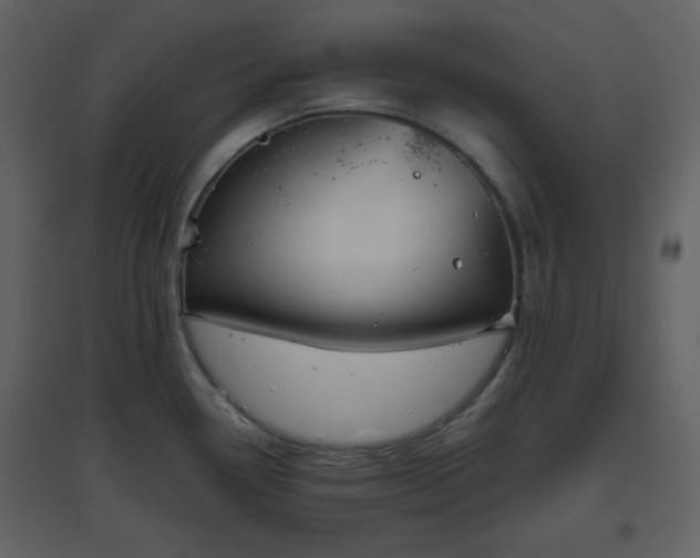 X0000096631338200802121038