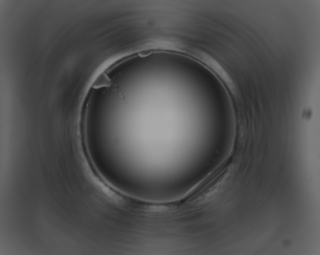 X0000096631339200802121039