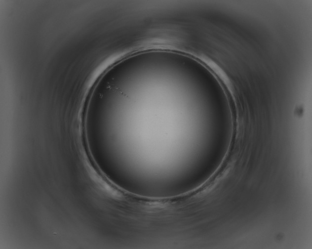 X0000096631341200802121039