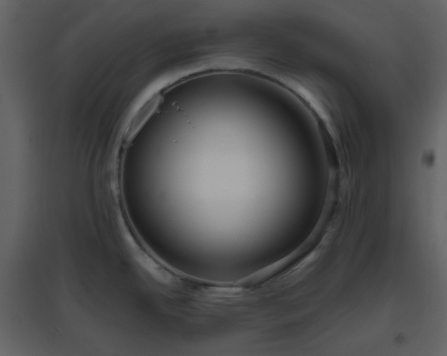X0000096631342200802121039
