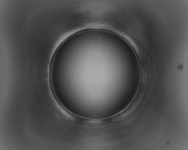X0000096631343200802121039