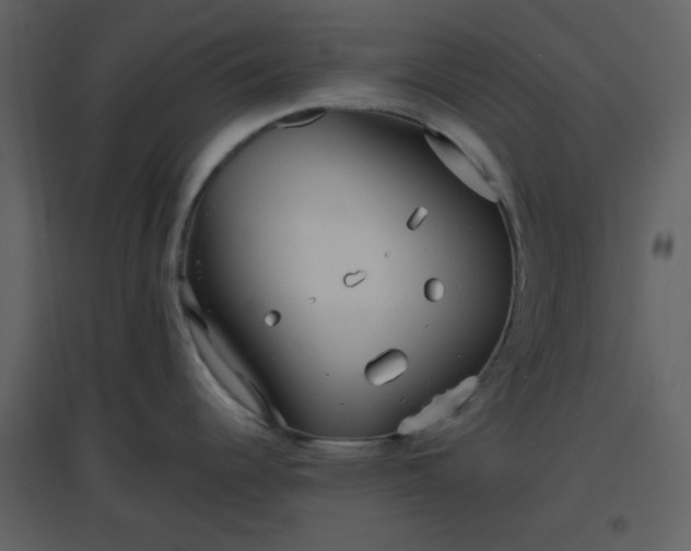 X0000096631344200802121039