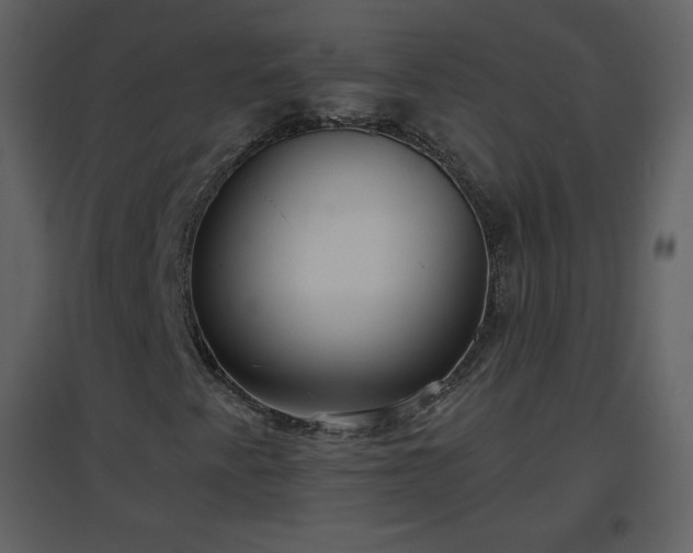 X0000096631345200802121038