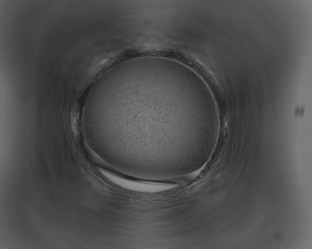 X0000096631348200802121038