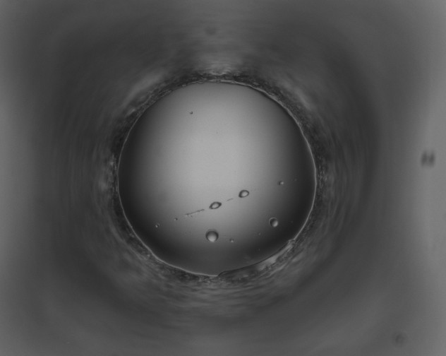 X0000096631349200802121038