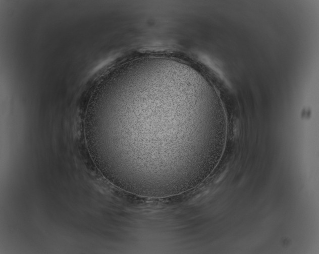 X0000096631350200802121038