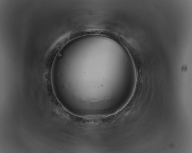 X0000096631351200802121038