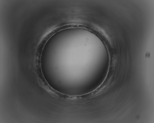 X0000096631352200802121038