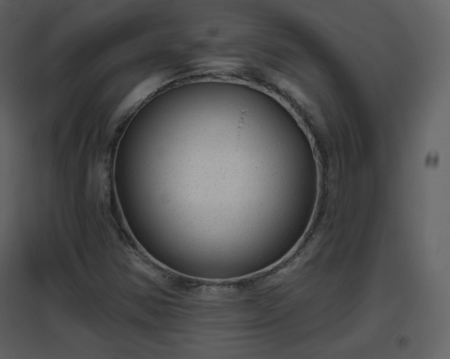 X0000096631354200802121038
