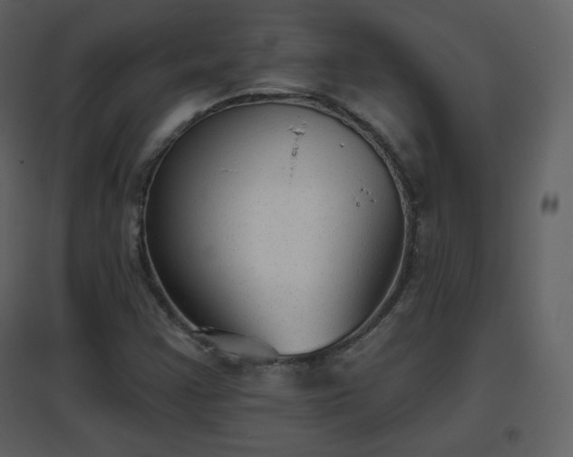 X0000096631355200802121038