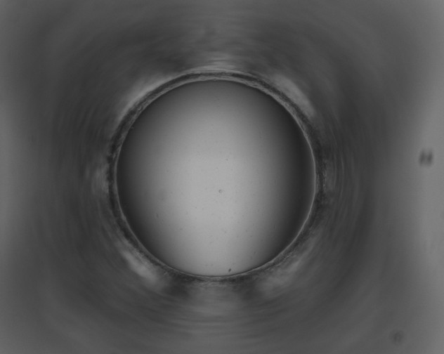 X0000096631356200802121038