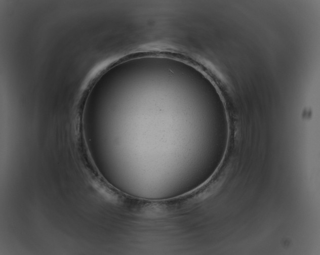X0000096631358200802121038
