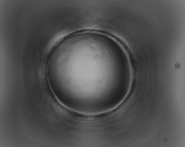 X0000096631359200802121038