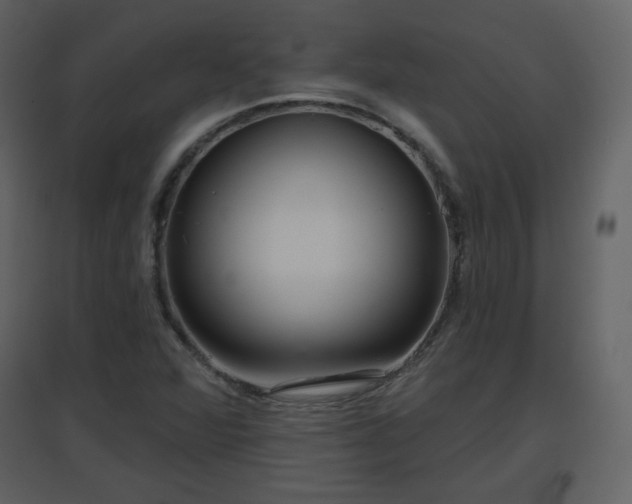 X0000096631360200802121038