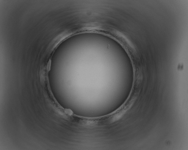 X0000096631361200802121038