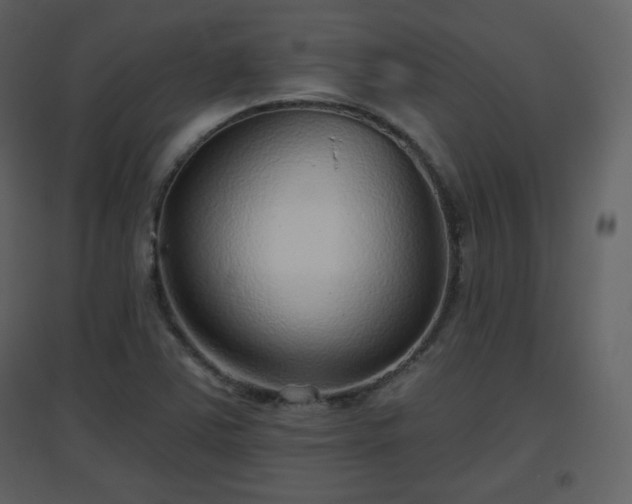 X0000096631363200802121038