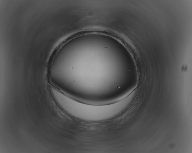 X0000096631364200802121038