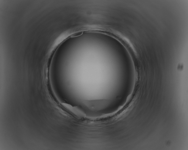 X0000096631365200802121038