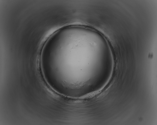 X0000096631367200802121038