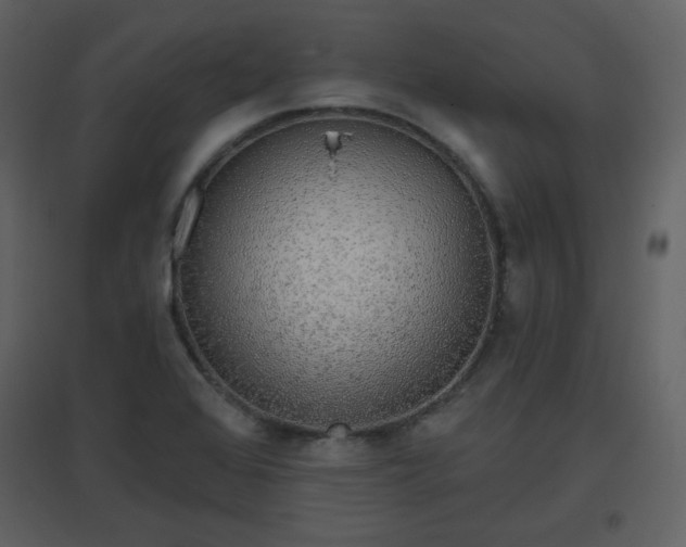 X0000096631368200802121038