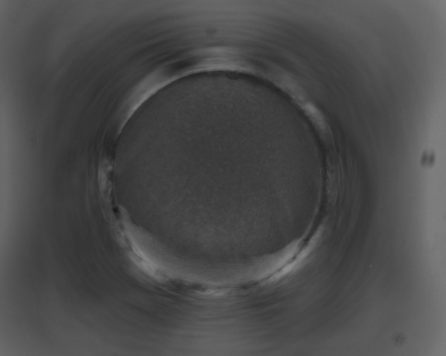 X0000096631369200802121038