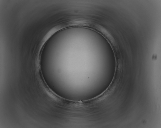 X0000096631370200802121038