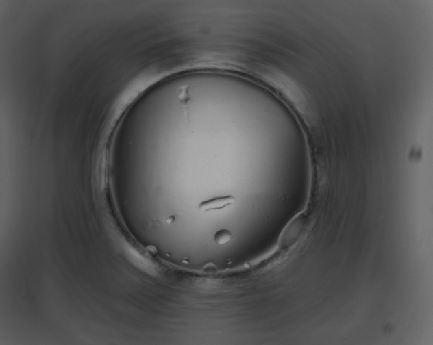 X0000096631371200802121038