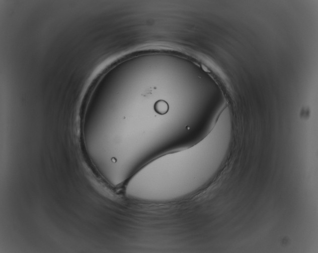 X0000096631372200802121038